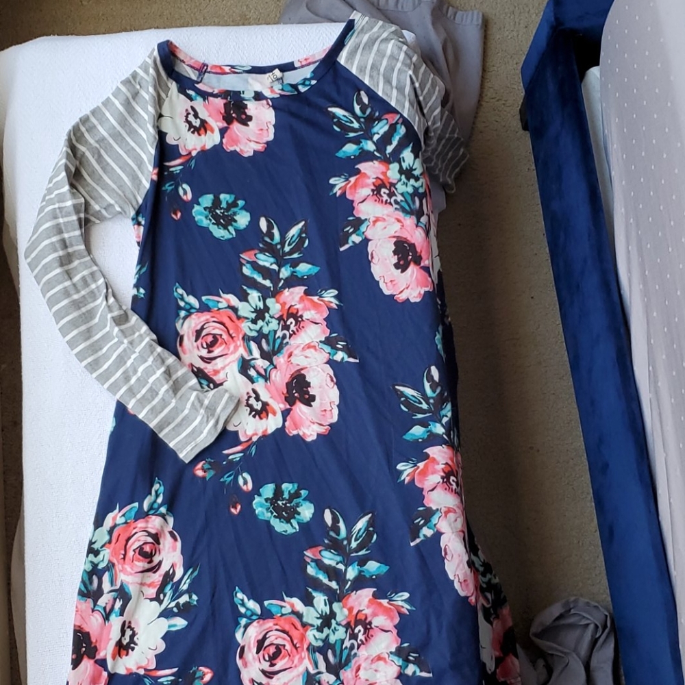 NWOT Floral Swing Dress XL